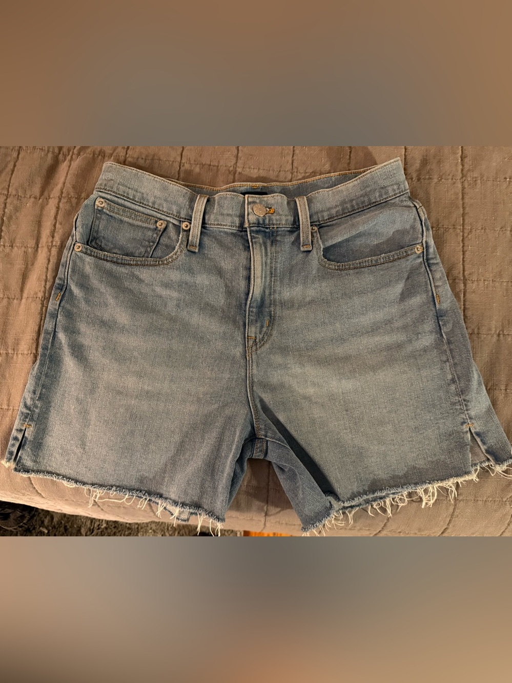 J. Crew Light Blue Denim Jean Shorts